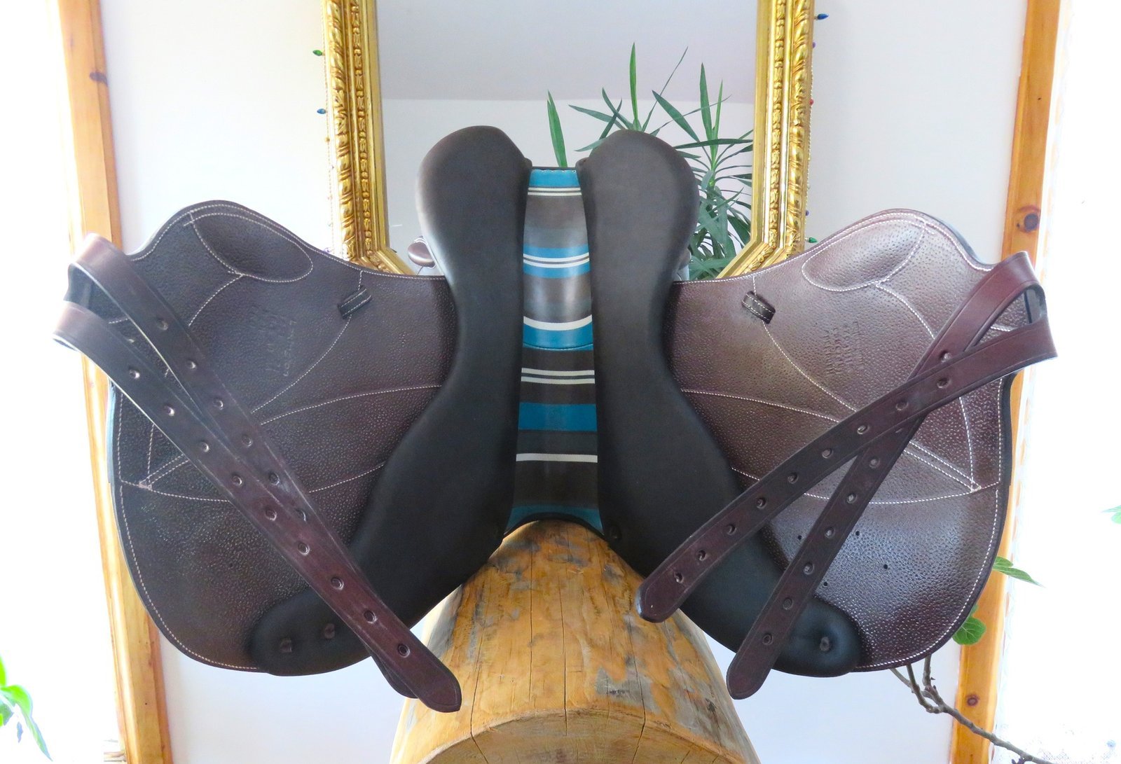 Jump X Country Saddle 18.5 Inch – Image 4