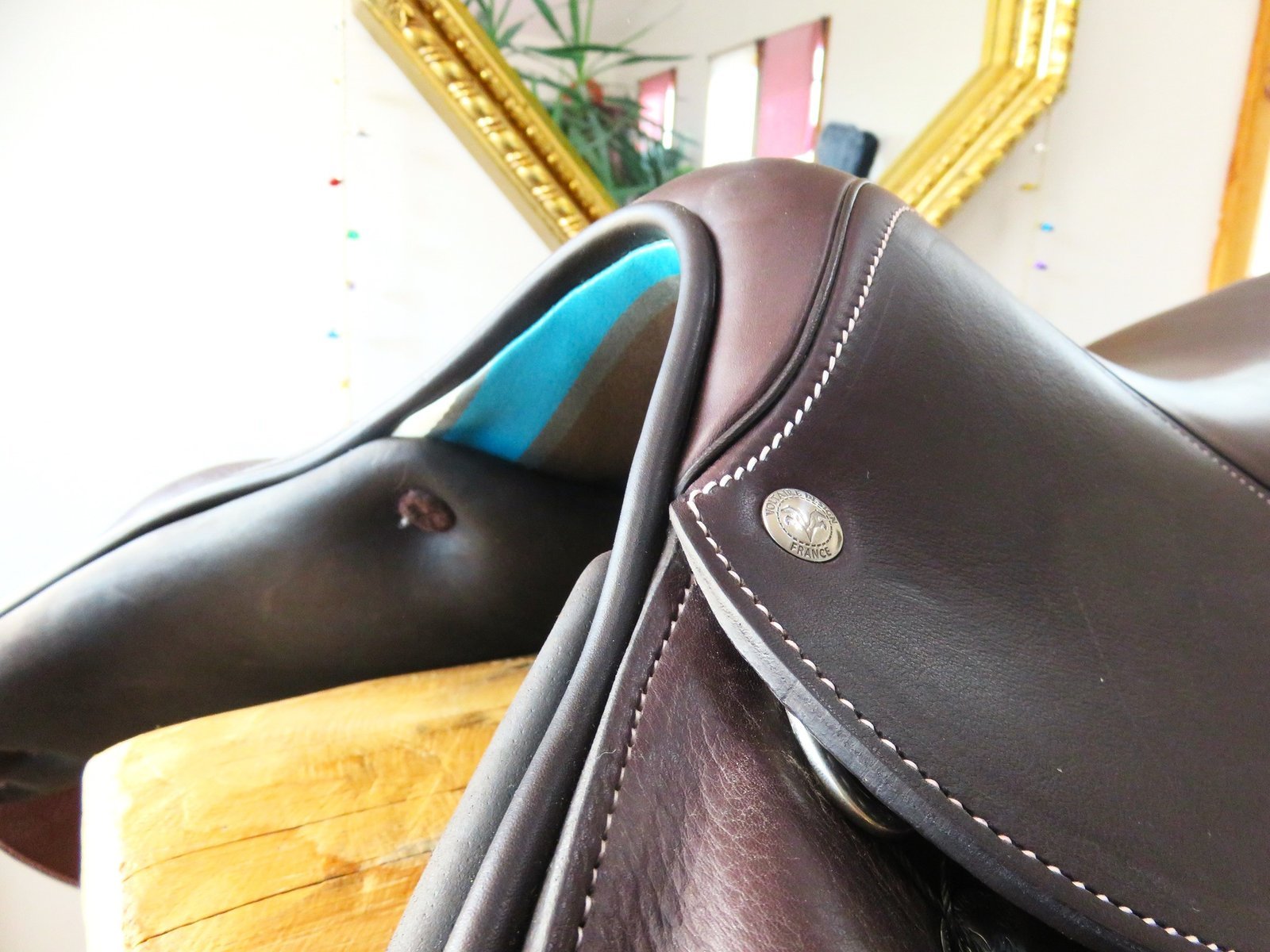 Jump X Country Saddle 18.5 Inch – Image 5